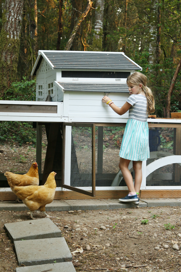 audrey and the chickens